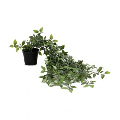 Paperi Hanging Plant Green Artificial Plants Bunch Plastic - Pack of 1