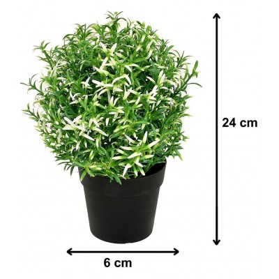 Paperi Rose Merry White Leaf Multicolour Greens With Pot Plastic - Pack of 1