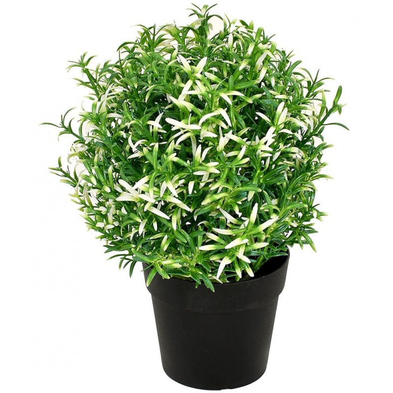 Paperi Rose Merry White Leaf Multicolour Greens With Pot Plastic - Pack of 1