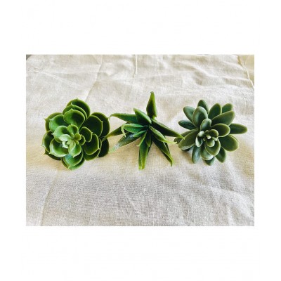 Paperi Succulent Multicolour Artificial Tree Plastic - Pack of 1