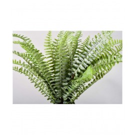 Paperi fern Green Artificial Plants Bunch Plastic - Pack of 1