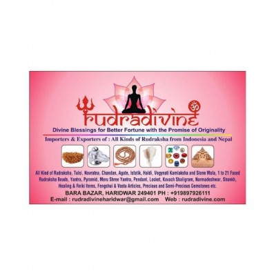 Parad shree yantra / Mercury Shri Yantra / Para Sri Yantra 25 gram Real Mercury with Certificate of Authenticity