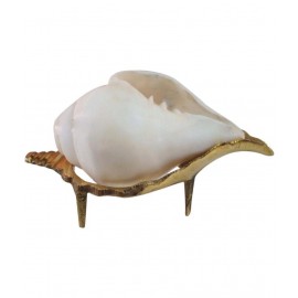 Paridhanlok Brass Shankh Paridhanlok Brass Shankh