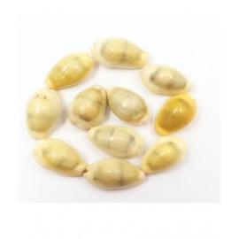 Peeli Kodi - Kauri - Kowdi - Kaudi (Yellow ) 11pcs