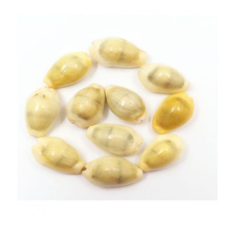 Peeli Kodi - Kauri - Kowdi - Kaudi (Yellow ) 11pcs