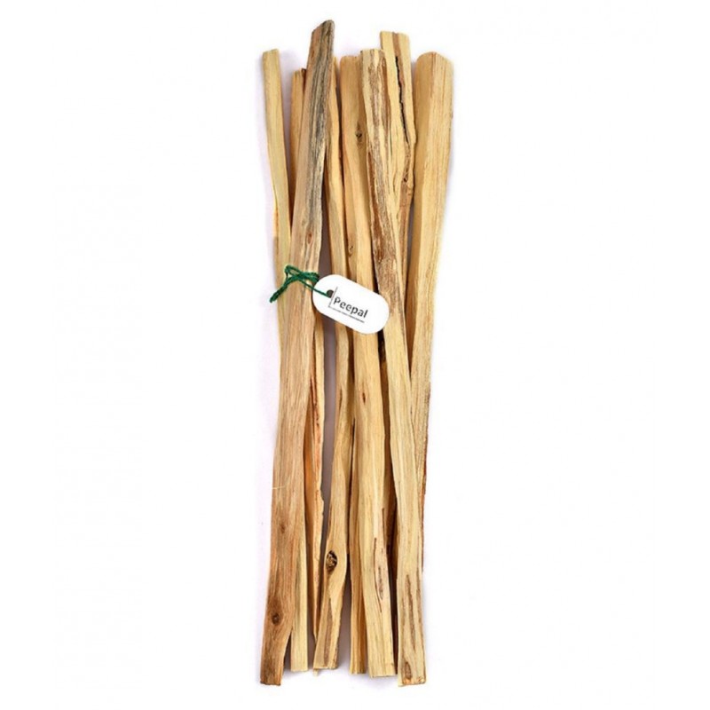 Peepal or Ashwath for Jupiter - Brhaspati - Puja