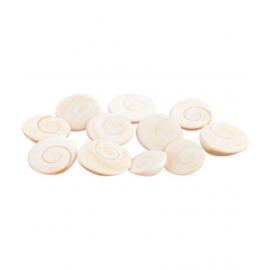 Pitliya Jewellers Stone Gomti Chakra