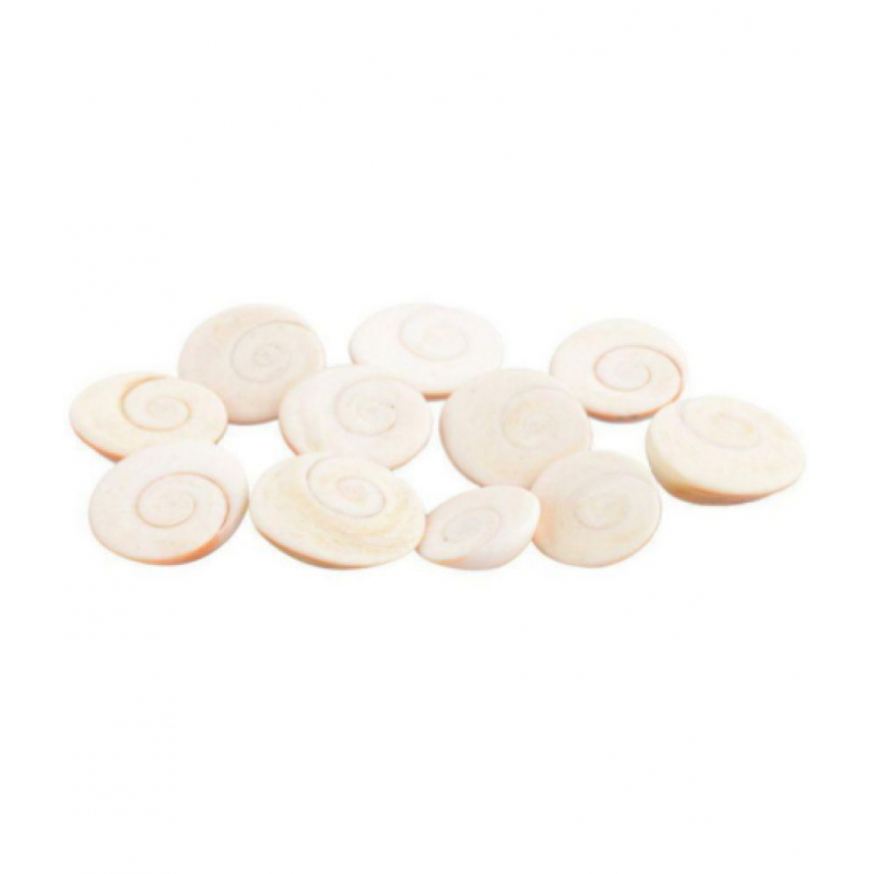 Pitliya Jewellers Stone Gomti Chakra