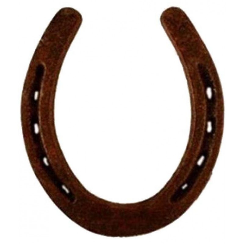 Queen Collection  Iron Horse Shoe Naal