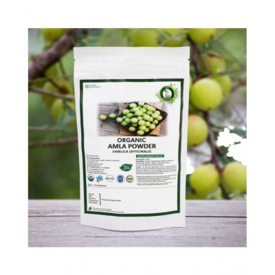 R V Essential Organic Amla Powder 200 gm Pack Of 1 R V Essential Organic Amla Powder 200 gm Pack Of 1