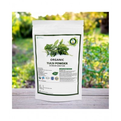 R V Essential Organic Tulsi Powder 100 gm Pack Of 1