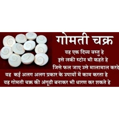 RGL Coral Powder Gomti Chakra - Pack of 11