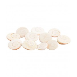 RGL Coral Powder Gomti Chakra - Pack of 11
