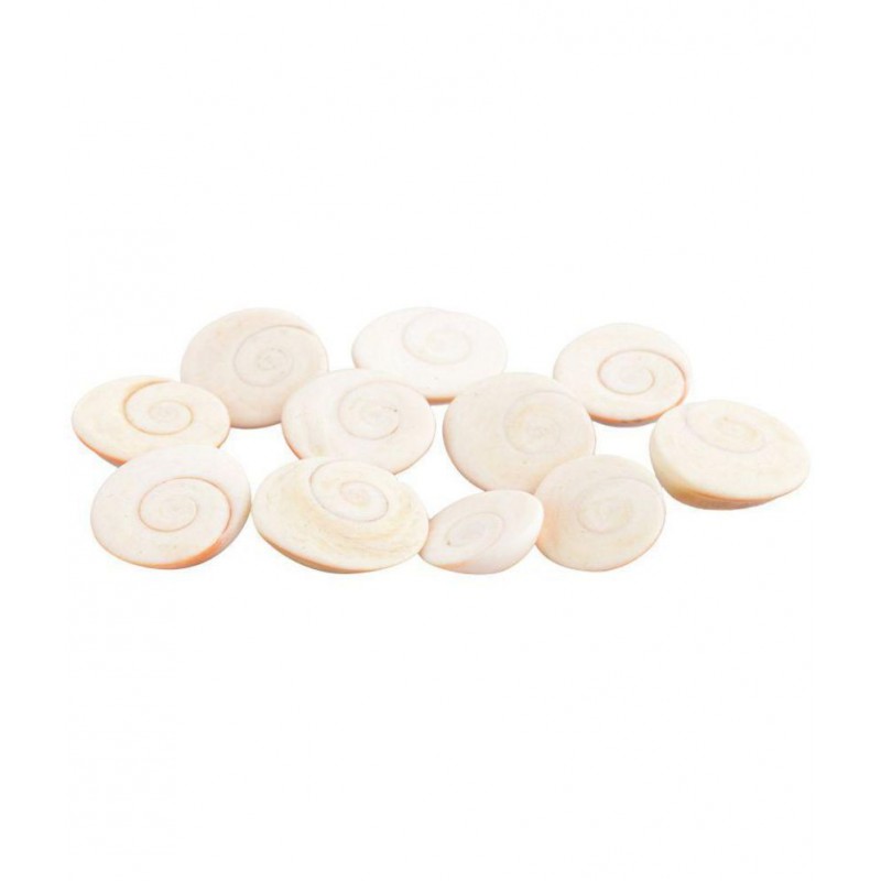 RGL Coral Powder Gomti Chakra - Pack of 11