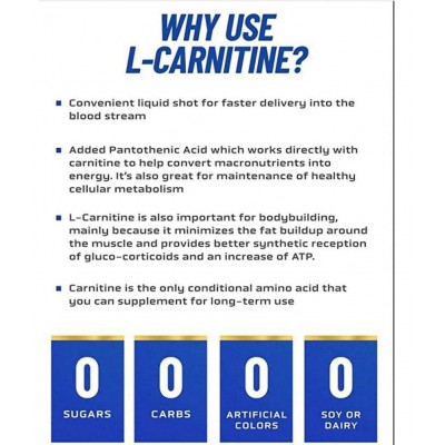 RONNIE COLEMAN MP_1000012472 473 ml Fat Burner Syrup