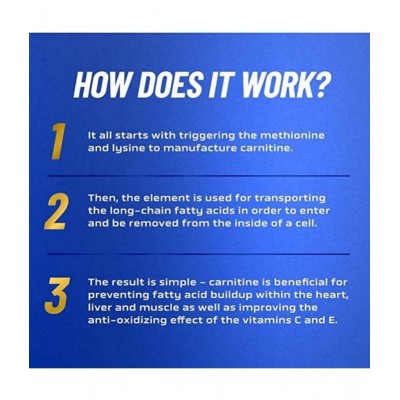 RONNIE COLEMAN MP_1000012472 473 ml Fat Burner Syrup