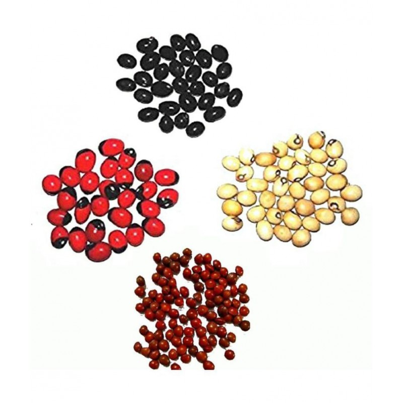 ROSARYPEA - Guri GUNJA  - 11 Pieces x 4 Types - Loose Packed