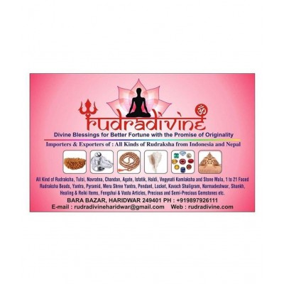 RUDRA DIVINE Alloy Tortoise