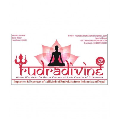 RUDRA DIVINE Blue Crystal Figurines - Pack of 1