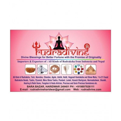 RUDRA DIVINE Gold Alloy Figurines - Pack of 1