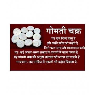 RUDRA DIVINE Gomati chakra original (12 Piece) 100% Natural & Real Gomti Chakra from Gomti River