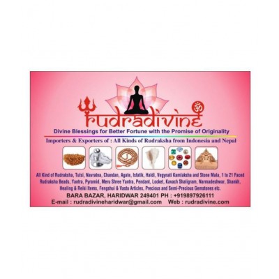 RUDRA DIVINE Gomati chakra original (12 Piece) 100% Natural & Real Gomti Chakra from Gomti River