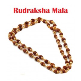 RUDRA DIVINE Rudraksha Pack of 1