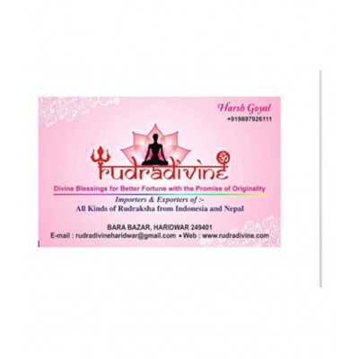 RUDRA DIVINE Shree shri Yantra for Health, Success and Achievement / 24k / 24 k Gold plated Shree Yantram High Quality And Frame / / For Worship in / put at your Worship place or in Temple/ For Gain wealth, Money and fame in life 25 X 25 cm