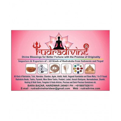 RUDRADIVINE Brass Shri Sampuran Vyapar Vriddhi Yantra in Frame (Gold_19 x 19 cm)