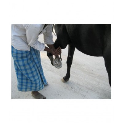 RUDRADIVINE Iron Asli Kaale Ghode Ki Naal/Horse Shoe (Black Brown, Standard)