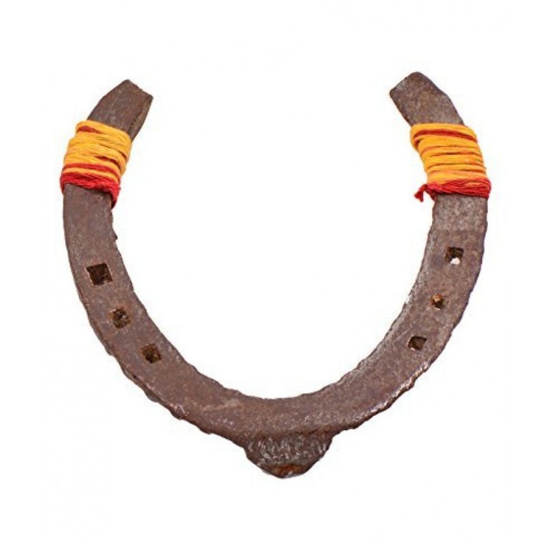RUDRADIVINE Iron Asli Kaale Ghode Ki Naal/Horse Shoe (Black Brown, Standard)