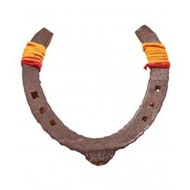 RUDRADIVINE Iron Asli Kaale Ghode Ki Naal/Horse Shoe (Black Brown, Standard)