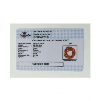 RUDRAKSHA MALA WITH LAB CERTIFICATE-ONLINE VERIFIED-108+1 BEADS-100% ORIGINAL & NATURAL-8MM RUDRAKSH POOJA MALA