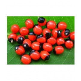 Rakth Gunja - Lal Gunja - Red Gunj - Chirmi Seeds - 151 Pieces