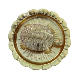 Raman Collection Tortoise