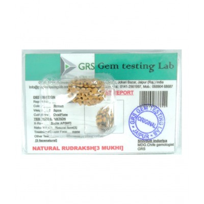 Rashi Ratan Bhagya Natural Rudraksha 3 Mukhi - India