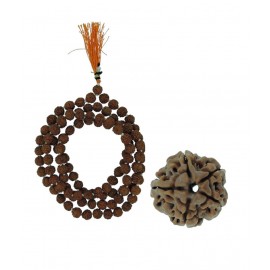 Rashi Ratan Bhagya Rudraksha Mala With Five Mukhi Rudraksha