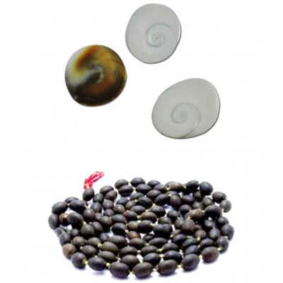 Ratnatraya Energized Set of 11 piece Gomati Chakra and Kamal Gatta Mala 108 Lotus Seeds for Blessing of Laxmi Mata & mystic pooja