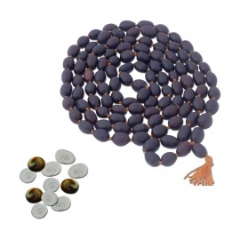 Ratnatraya Energized Set of 11 piece Gomati Chakra and Kamal Gatta Mala 108 Lotus Seeds for Blessing of Laxmi Mata & mystic pooja