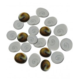 Ratnatraya Original Energised Set Of 21 Gomati Chakra For Mystic Lakshmi Pooja