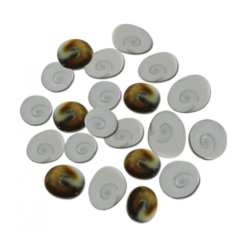 Ratnatraya Original Energised Set Of 21 Gomati Chakra For Mystic Lakshmi Pooja