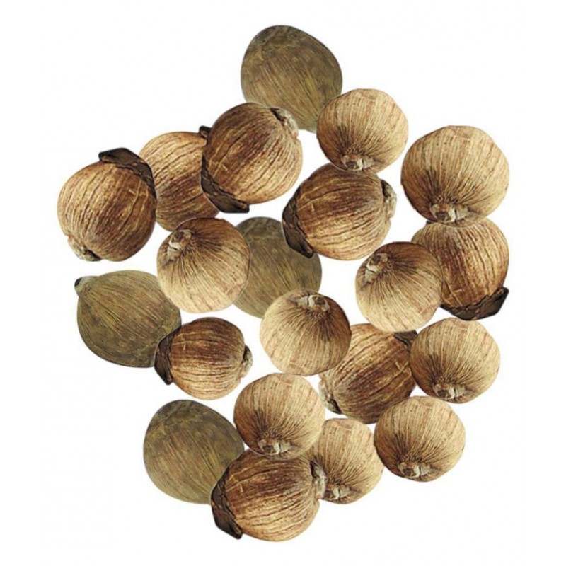 Ratnatraya Set of 11 Laghu (small ) Nariyal | Diwali Laxmi Pujan Samagri