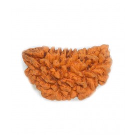 Religious Kart Brown One Mukhi Rudraksha