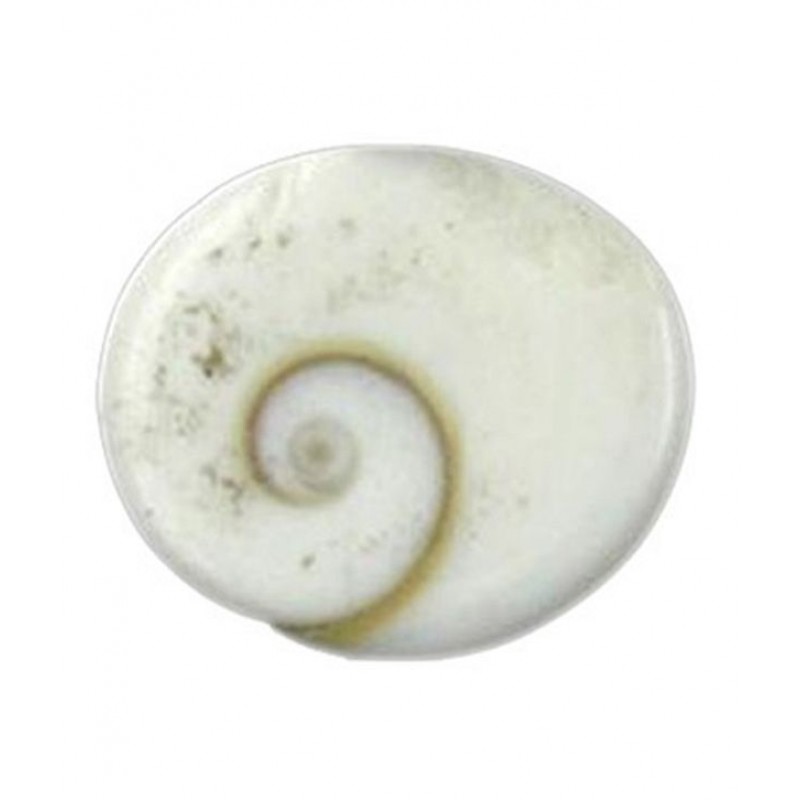 Religious Kart White Gomti Chakra Natural Pooja Product