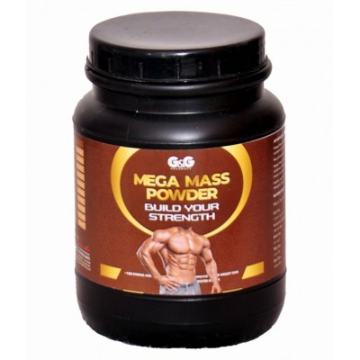 Rikhi G & G Mega Mass Powder 300 gm Pack Of 1