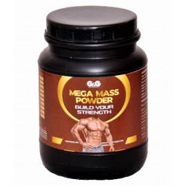 Rikhi G & G Mega Mass Powder 300 gm Weight Gainer Powder