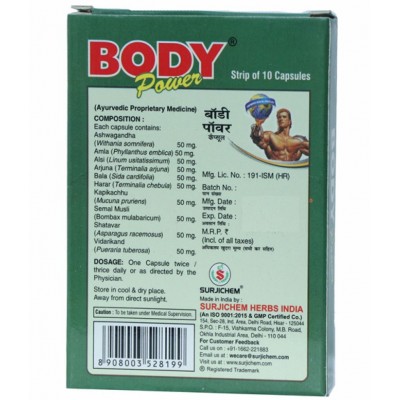 Rikhi Weight Gainer Pro Powder 300 gm Chocolate