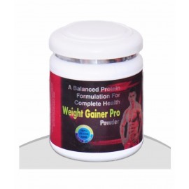 Rikhi Weight Gainer Pro Powder 300 gm Chocolate