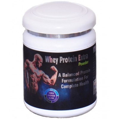 Rikhi Whey Protein Extra 300 gm Unflavoured Single Pack