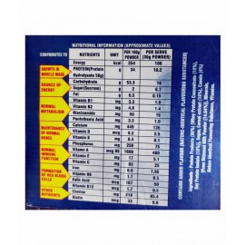 Rikhi Whey Protein Extra Powder 300 gm Chocolate